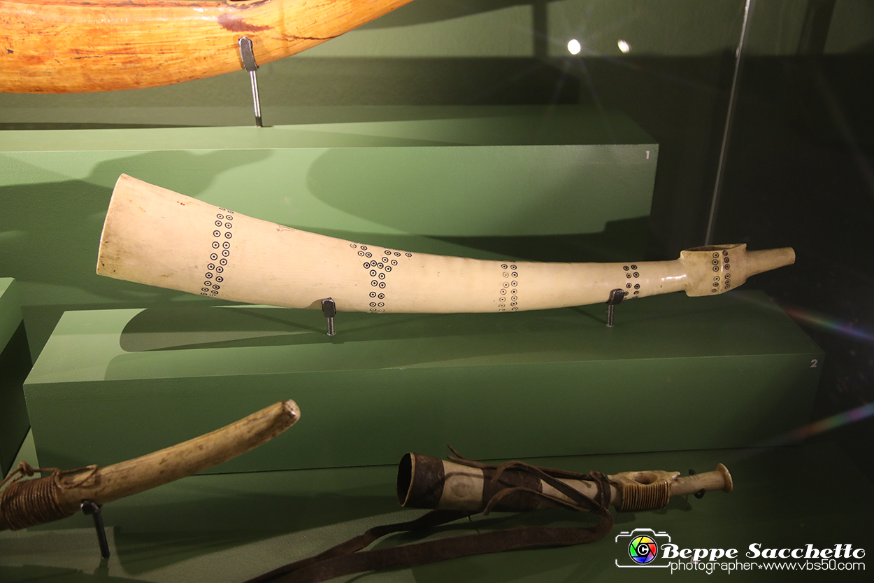 VBS_5433 - Africa - Le collezioni dimenticate.jpg